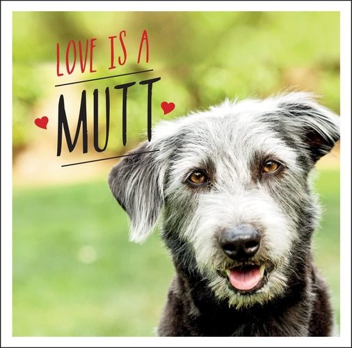 Love Is a Mutt A Dog-Tastic Celebration of the World’s Cutest Mixed and Cross Breeds — Charlie Ellis