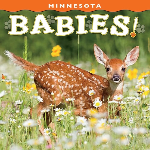 Minnesota Babies! — Farcountry Press