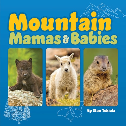 Mountain Mamas and Babies — Stan Tekiela
