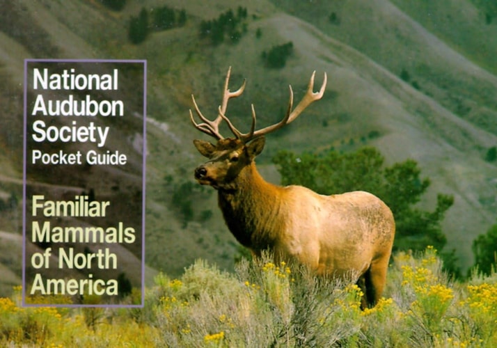 National Audubon Society Pocket Guide to Familiar Mammals — National Audubon Society