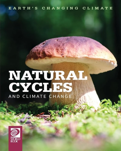 Natural Cycles and Climate Change — Echo Elise Gonzalez