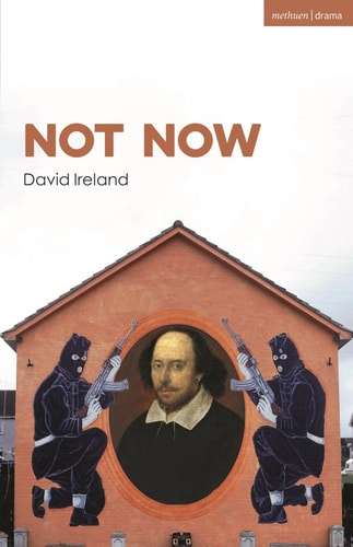Not Now — David Ireland