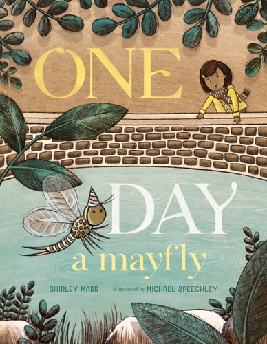 One Day a Mayfly — Shirley Marr