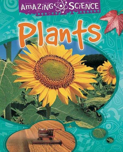 Plants — Sally Hewitt
