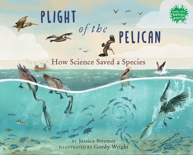 Plight of the Pelican How Science Saved a Species — Jessica Stremer