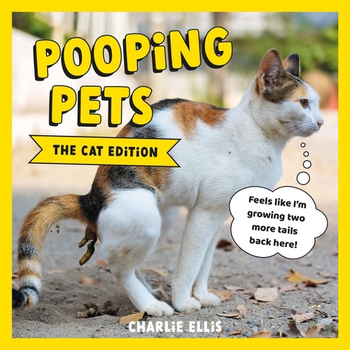 Pooping Pets: the Cat Edition Hilarious Snaps of Kitties Taking a Dump — Charlie Ellis