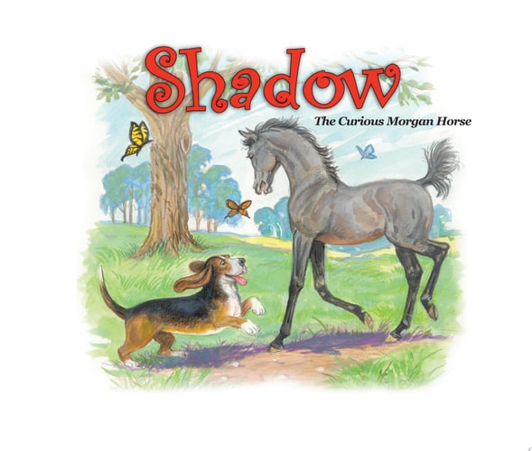 Shadow: The Curious Morgan Horse — Ellen F. Feld
