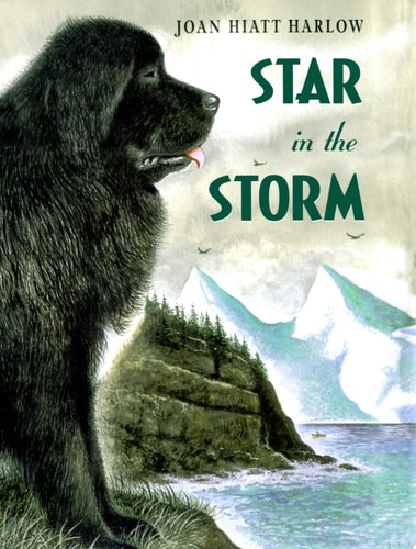 Star in the Storm — Joan Hiatt Harlow