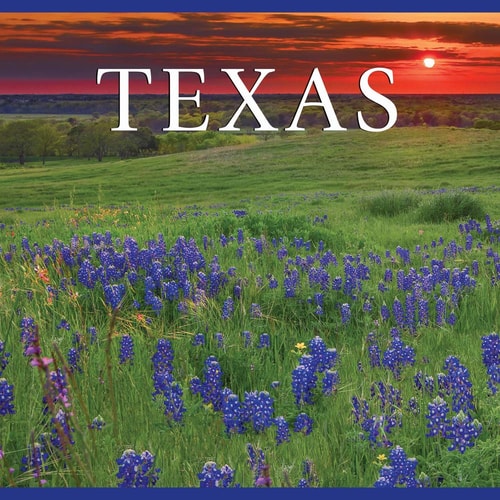 Texas — Tanya Lloyd Kyi