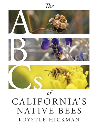 The ABCs of California’s Native Bees — Krystle Hickman