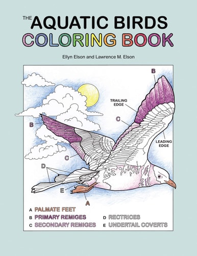 The Aquatic Birds Coloring Book A Coloring Book — Coloring Concepts Inc.