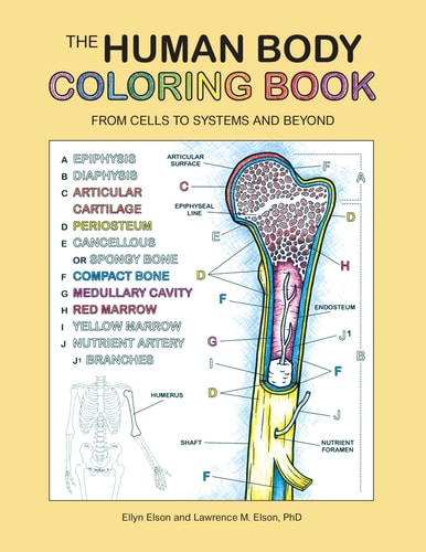The Human Body Coloring Book From Cells to Systems and Beyond — Coloring Concepts Inc.