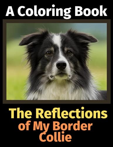 The Reflections of My Border Collie A Coloring Book — Brightview Activity Books