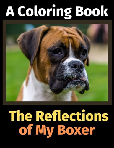 The Reflections of My Boxer A Coloring Book — Brightview Activity Books