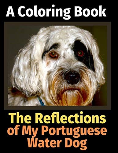 The Reflections of My Portuguese Water Dog A Coloring Book — Brightview Activity Books