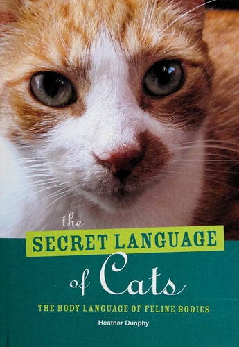 The Secret Language of Cats The Body Language of Feline Bodies — Heather Dunphy