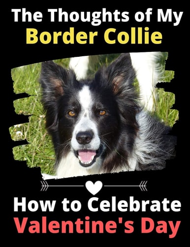 The Thoughts of My Border Collie How to Celebrate Valentine’s Day — Brightview Activity Books