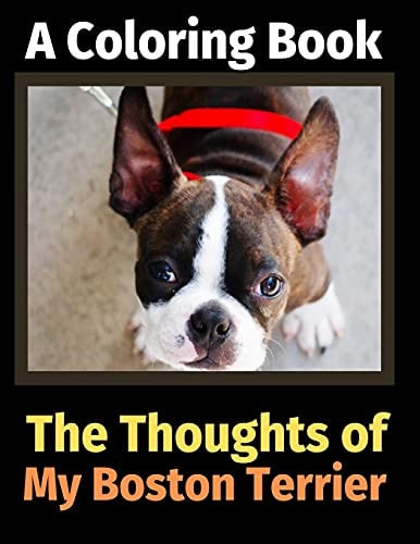 The Thoughts of My Boston Terrier A Coloring Book — Brightview Activity Books