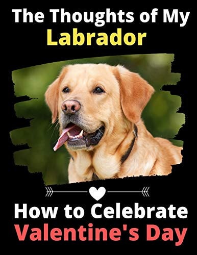 The Thoughts of My Labrador How to Celebrate Valentine’s Day — Brightview Activity Books