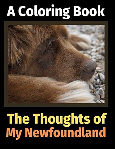 The Thoughts of My Newfoundland A Coloring Book — Brightview Activity Books