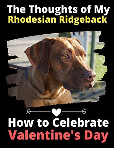 The Thoughts of My Rhodesian Ridgeback How to Celebrate Valentine’s Day — Brightview Activity Books