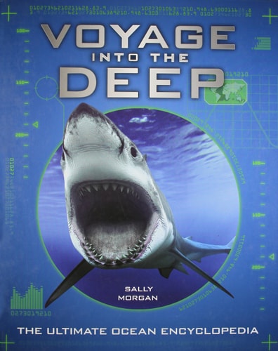 Voyage Into the Deep — Sally Morgan