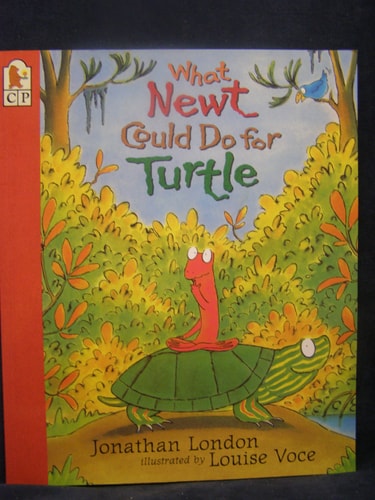 What Newt Could Do for Turtle — Jonathan London