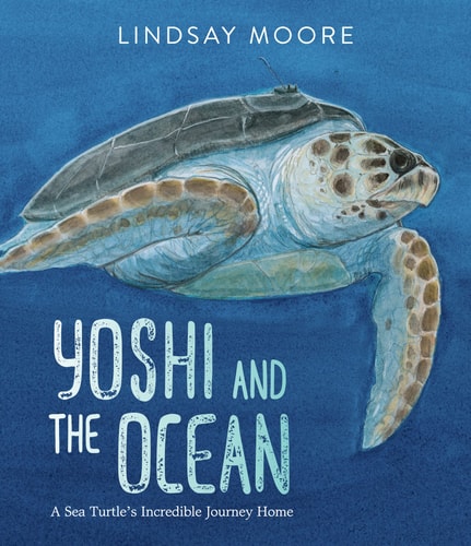 Yoshi and the Ocean A Sea Turtle’s Incredible Journey Home — Lindsay Moore