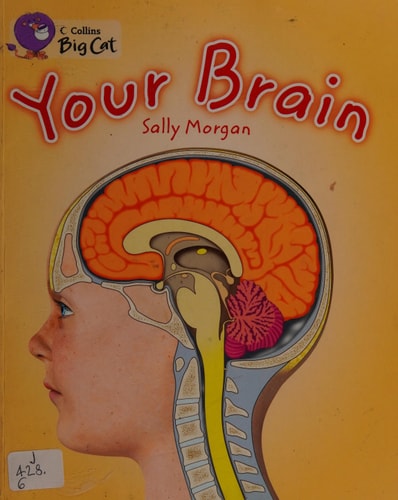 Your Brain — Sally Morgan