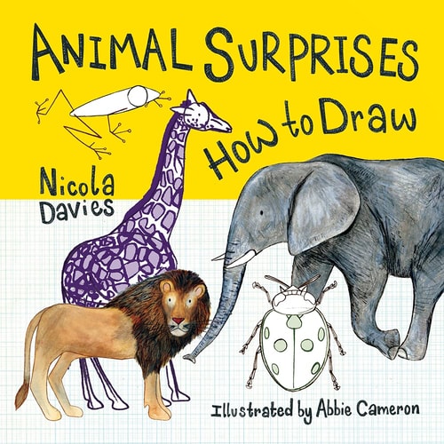 Animal Surprises How to Draw — Nicola Davies