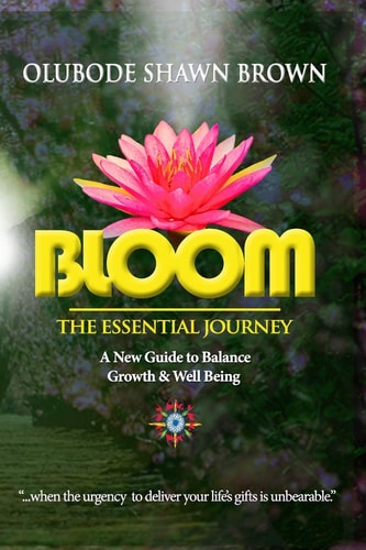 Bloom the Essential Journey A New Guide to Balance, Growth & Well Being — Shawn Brown