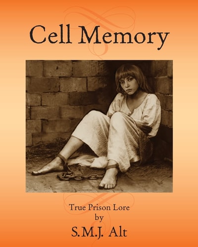 Cell Memory A Buzzkill Noir — S. M. J. Alt
