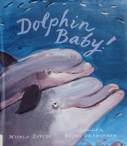 Dolphin Baby! — Nicola Davies