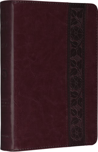 ESV Personal Size Reference Bible (TruTone, Mahogany, Trellis Design) — Crossway Bibles