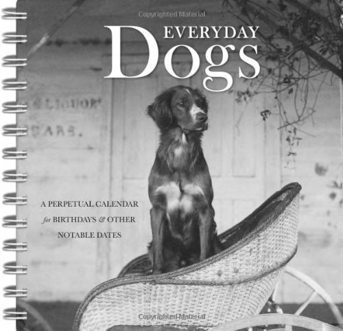 Everyday Dogs A Perpetual Calendar for Birthdays and Other Notable Dates — Mary Scott