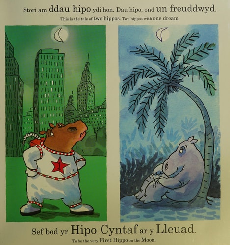 First hippo on the moon — David Walliams