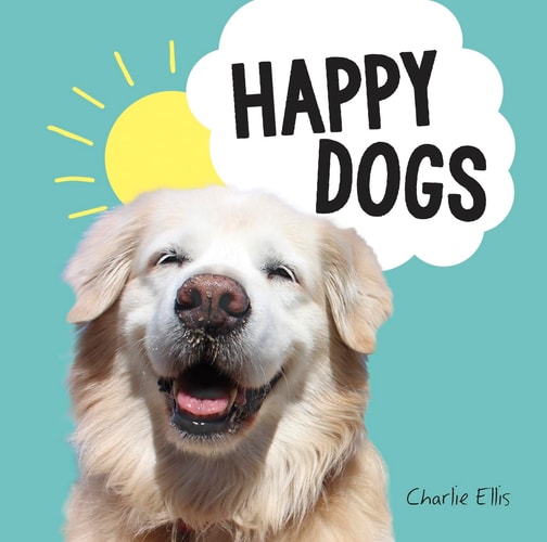 Happy Dogs Photos of the Happiest Pups and Doggos in the World — Charlie Ellis