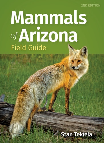 Mammals of Arizona Field Guide — Stan Tekiela