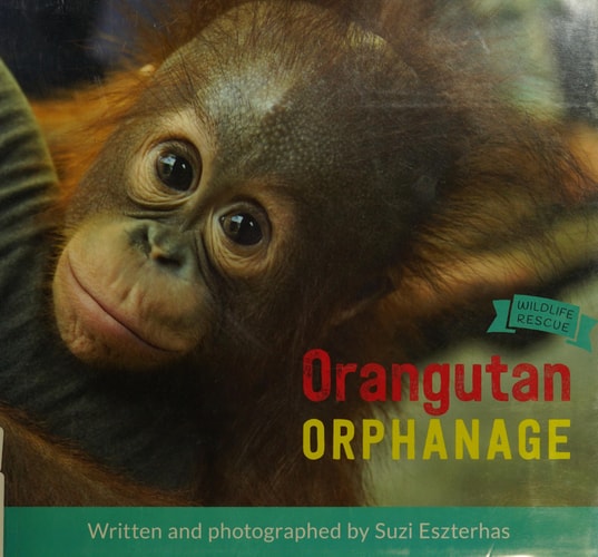 Orangutan Orphanage — Suzi Eszterhas