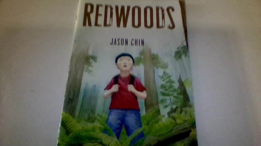 Redwoods — Jason Chin