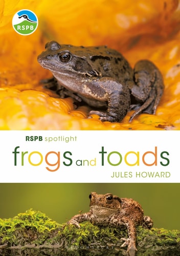 RSPB Spotlight Frogs and Toads — Jules Howard