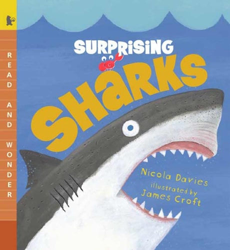 Surprising Sharks Read and Wonder — Nicola Davies