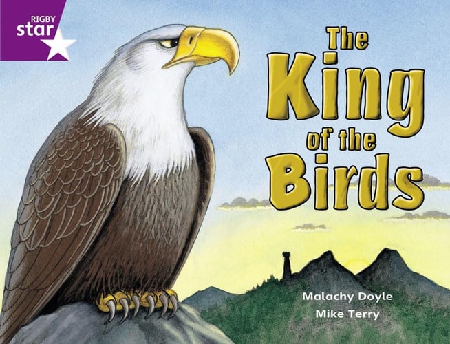 The King of the Birds — Malachy Doyle