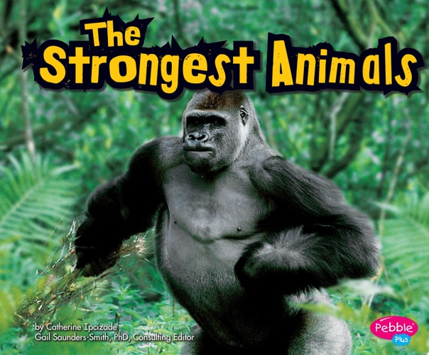 The Strongest Animals — Catherine Ipcizade