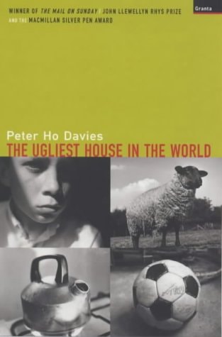 The Ugliest House in the World Stories — Peter Ho Davies