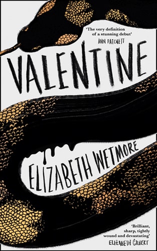 Valentine : a novel — Elizabeth Wetmore
