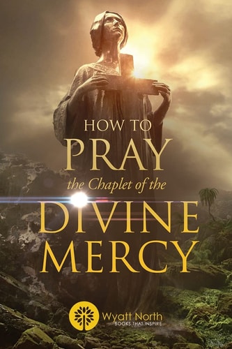 How to Pray the Chaplet of the Divine Mercy — Wyatt North