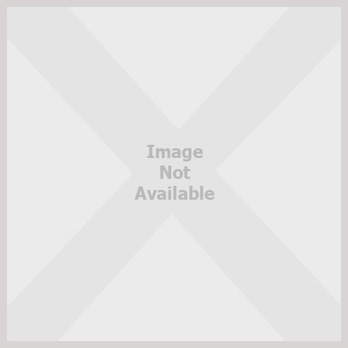 Sweet Valley Twins Omnibus — Francine Pascal