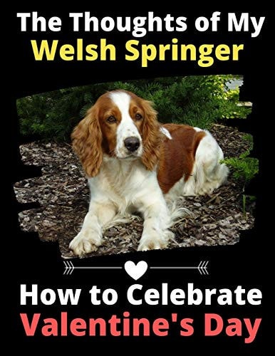 The Thoughts of My Welsh Springer How to Celebrate Valentine’s Day — Brightview Activity Books