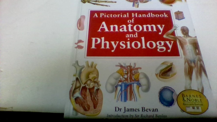 Anatomy and Phys-German/Usa Plc — Octopus Publishing Group